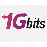 1gbits logo