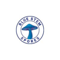 Blue Stem Fungi logo