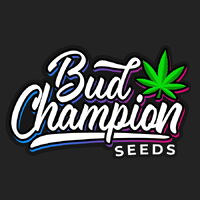Bud Champion logo