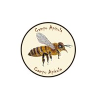 Campo apícola logo