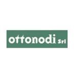 Ottonodi Srl logo