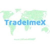 TradeImeX logo