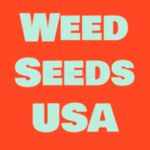 Weed Seeds USA