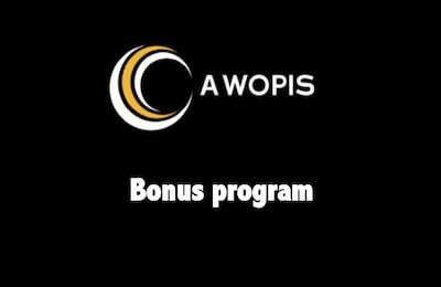 Bonus program